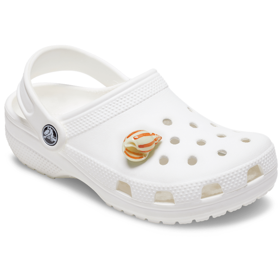 Natural Conch Shell - US 4650