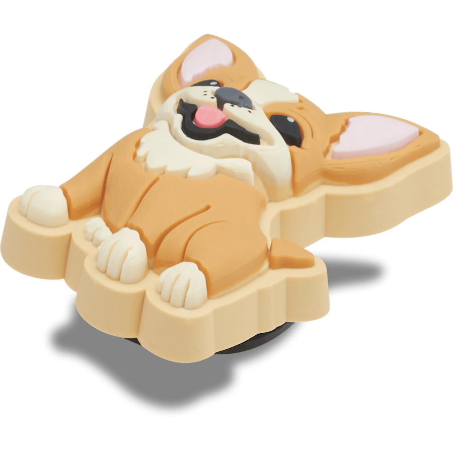 Chihuahua Puppy - US 0364