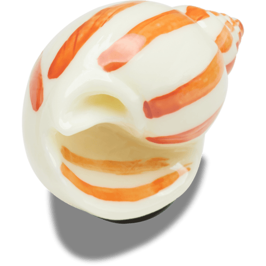 Natural Conch Shell - US 4650