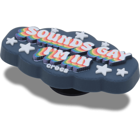 Sounds Gay Im In - US 0851