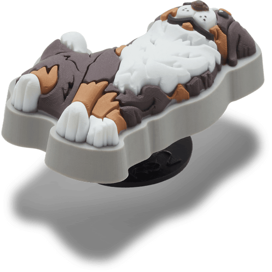 Bernese Mountain Dog Puppy - US 0167