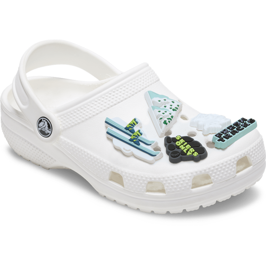 Snowy Skiing 5 Pack - US 2697