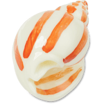 Natural Conch Shell - US 4650