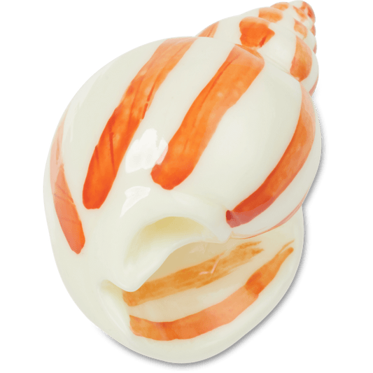 Natural Conch Shell - US 4650