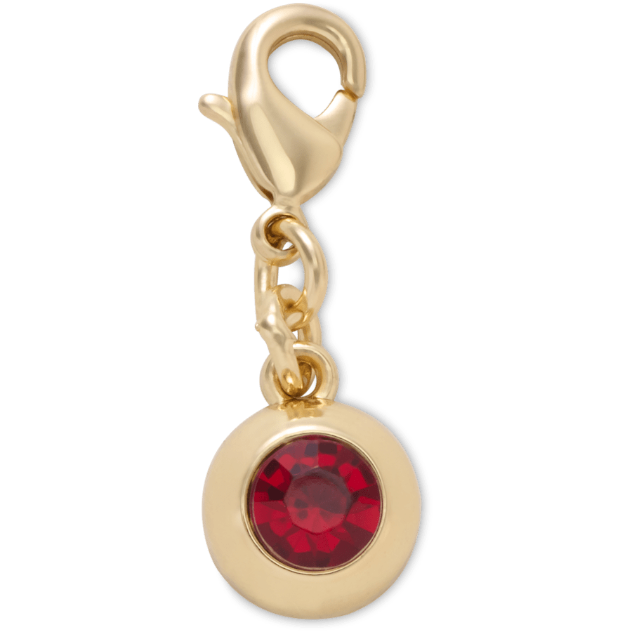 January Gem Charm - US 2612