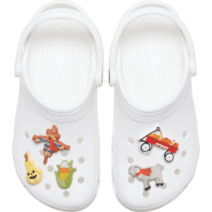 Pumpkin Patch 5 Pack - US 7937