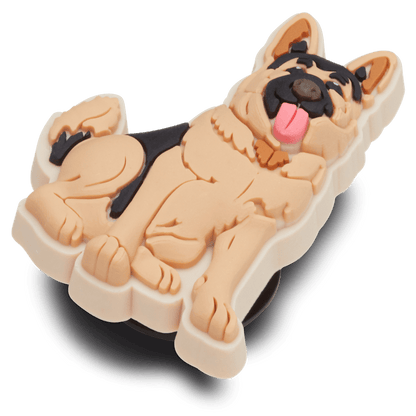 German Shepherd Puppy - US 5776