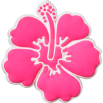 Pink Hibiscus - US 5090