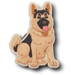 German Shepherd Puppy - US 5776