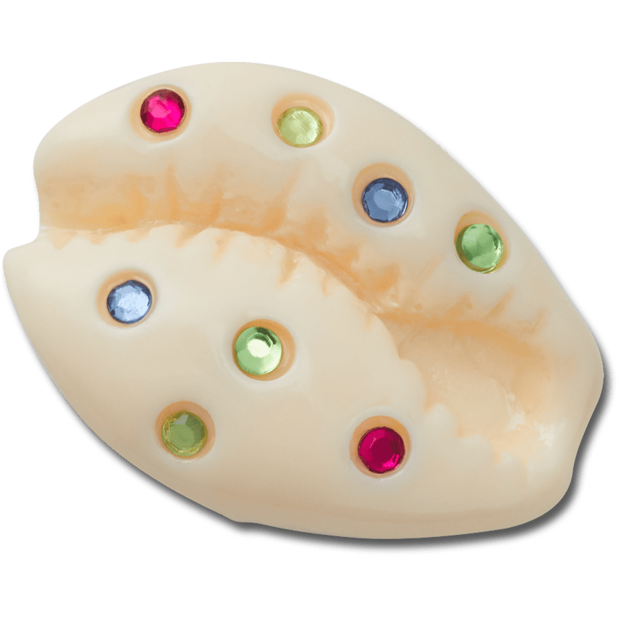 Gem Puka Shell - US 6151