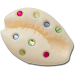 Gem Puka Shell - US 6151