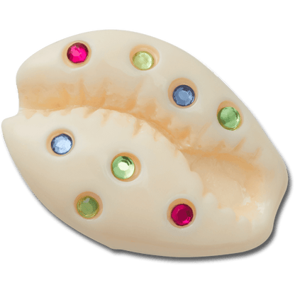 Gem Puka Shell - US 6151