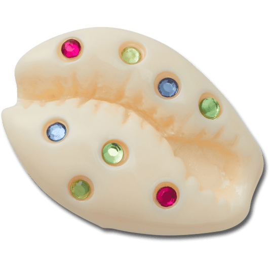 Gem Puka Shell - US 6151