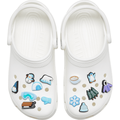 Winter Wonderland 13 Pack - US 0246