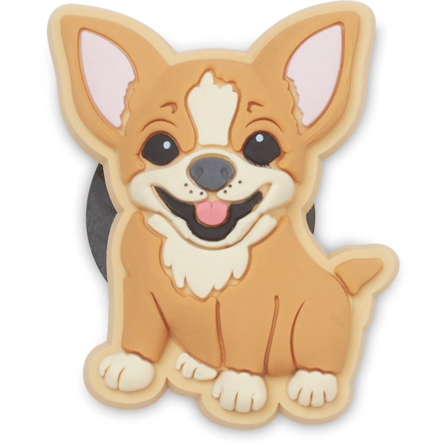 Chihuahua Puppy - US 0364