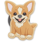 Chihuahua Puppy - US 0364