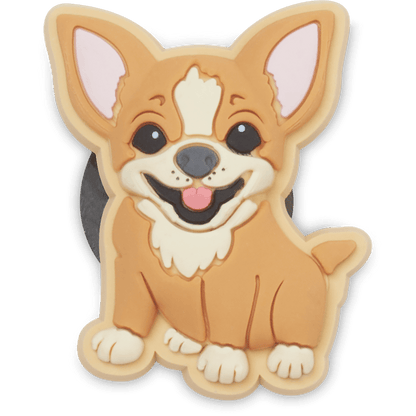 Chihuahua Puppy - US 0364