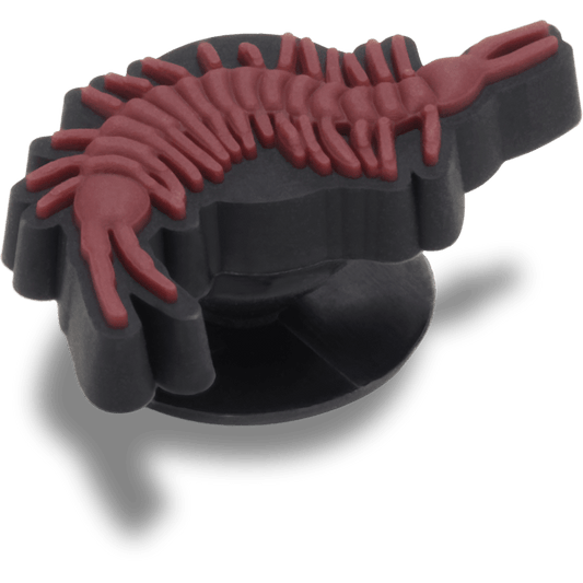 Brown Centipede - US 0322
