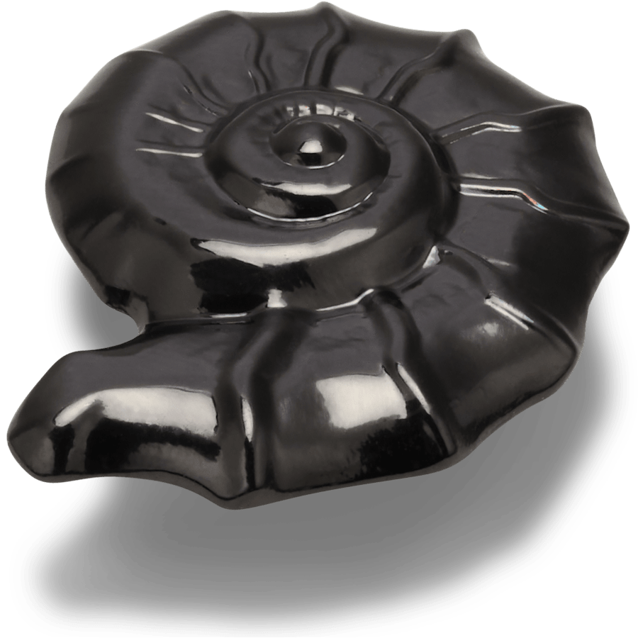 Dark Swirl Shell - US 2586