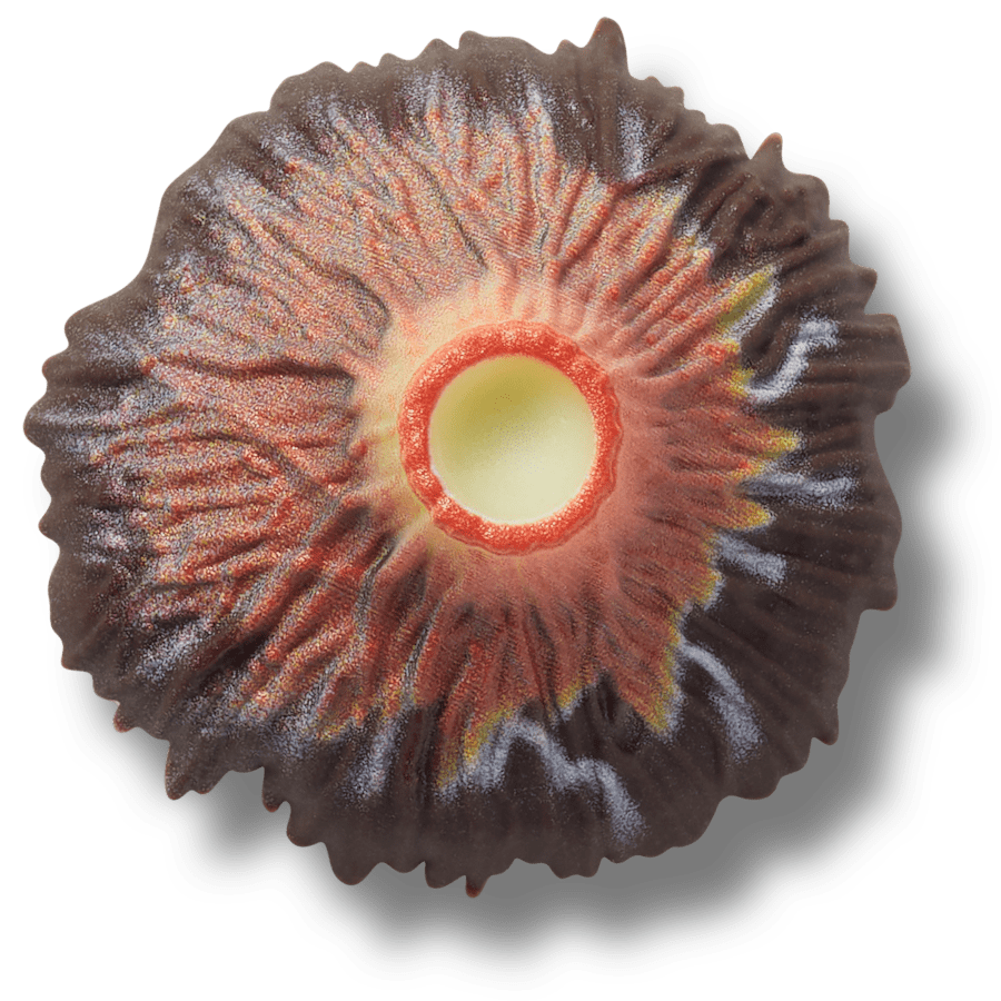 Volcano Eruption - US 0420