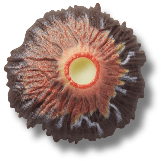 Volcano Eruption - US 0420
