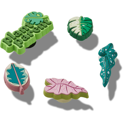 Indoor Plant Besties 5 Pack - US 6340