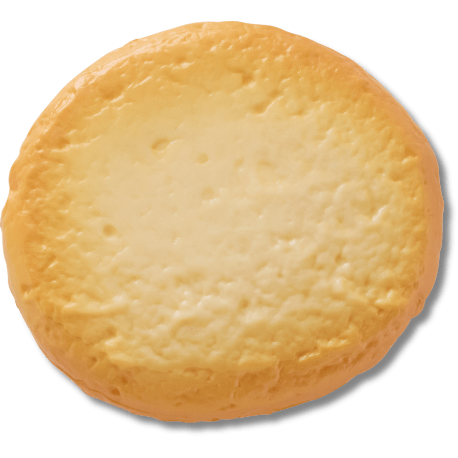 Realistic Round Cookie - US 7822
