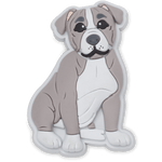 Pit Bull Puppy - US 7255