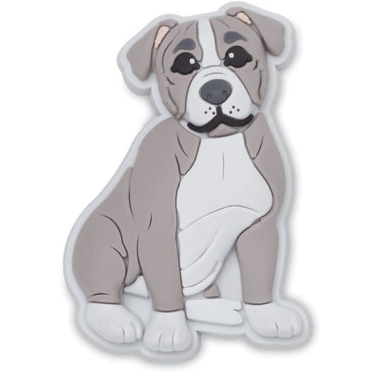 Pit Bull Puppy - US 7255
