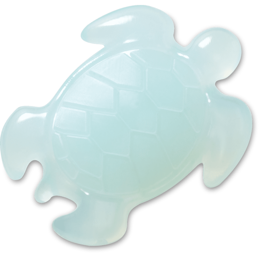 Light Blue Turtle - US 3443