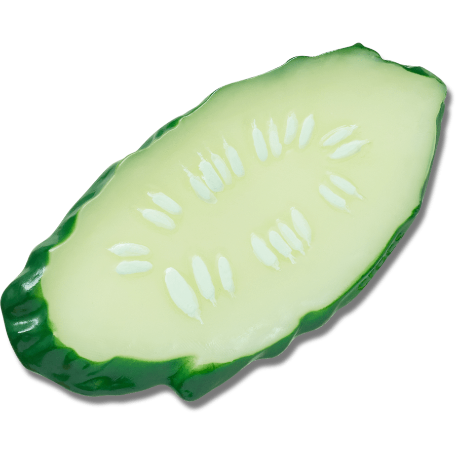 Realistic Cucumber Slice - US 9490