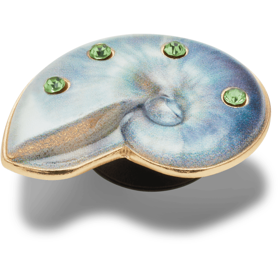 Light Swirl Shell - US 3874