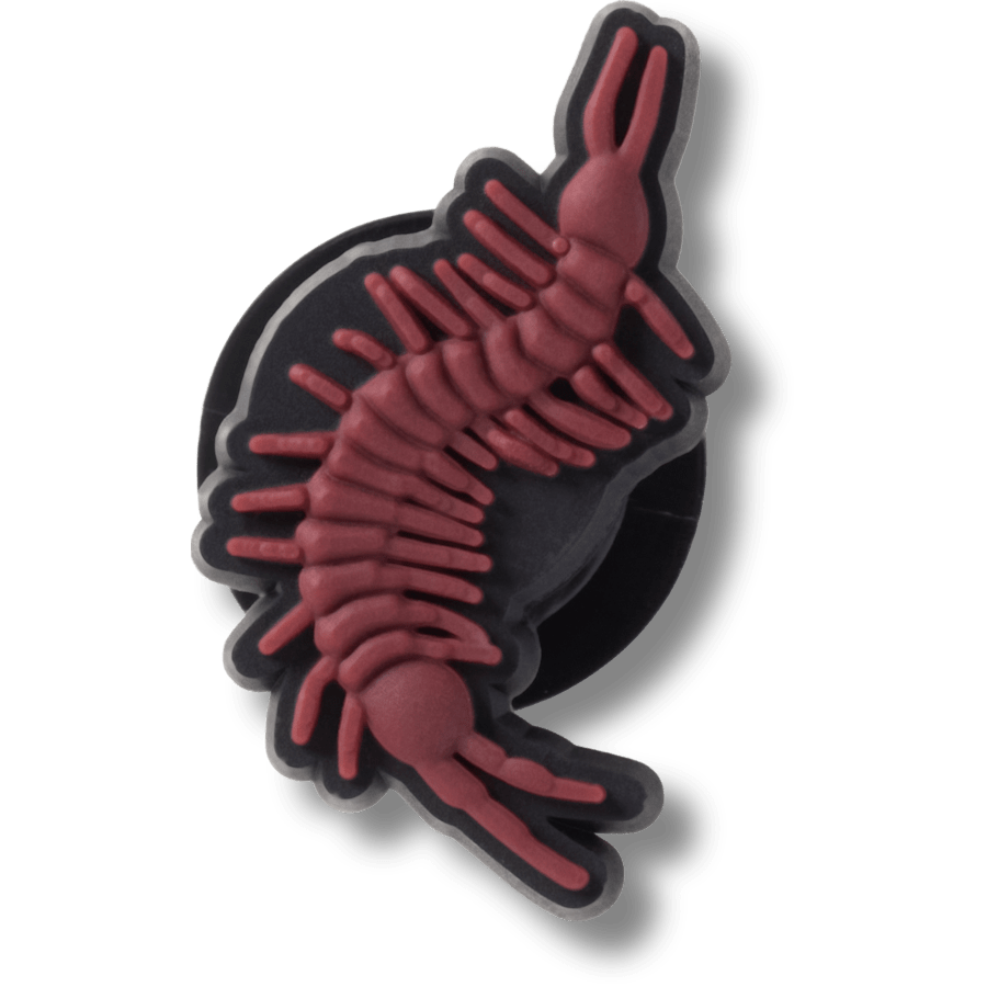 Brown Centipede - US 0322