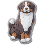Bernese Mountain Dog Puppy - US 0167