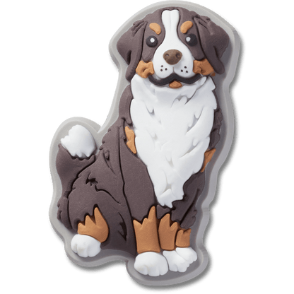 Bernese Mountain Dog Puppy - US 0167