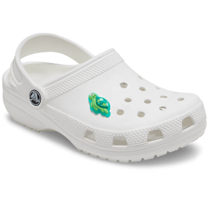 Gem Sea Turtle - US 0659