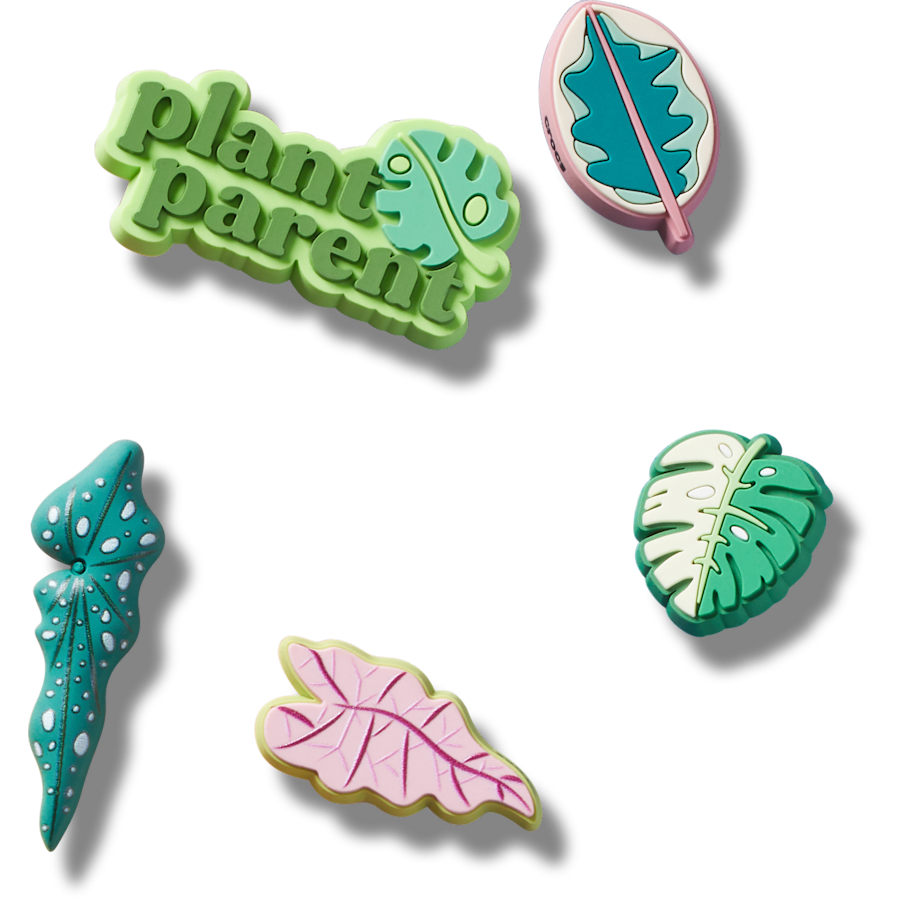 Indoor Plant Besties 5 Pack - US 6340
