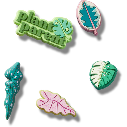 Indoor Plant Besties 5 Pack - US 6340