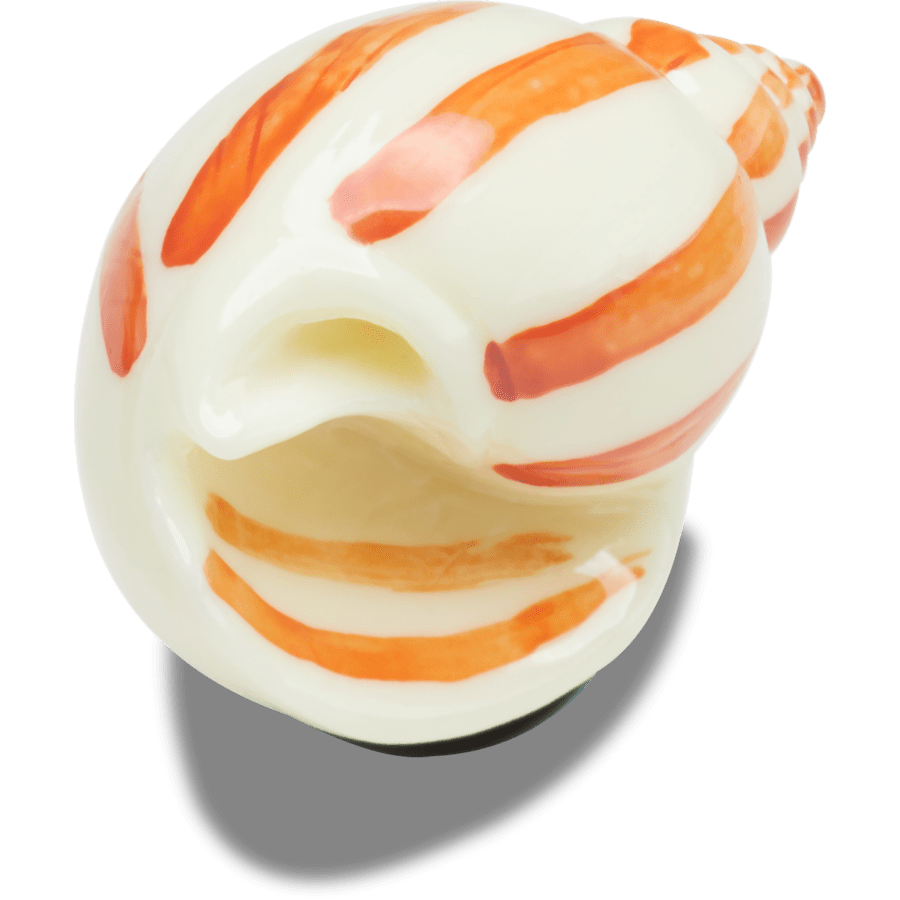 Natural Conch Shell - US 4650