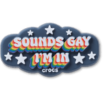 Sounds Gay Im In - US 0851