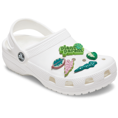 Indoor Plant Besties 5 Pack - US 6340